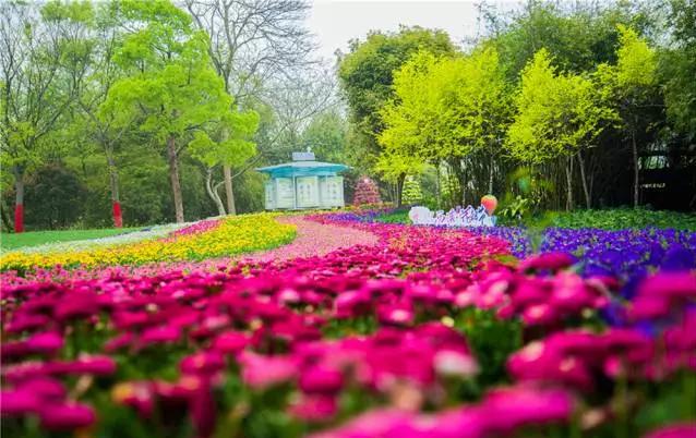 湖北園林景觀中的重頭戲——植物景觀設計